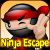 Ninja Escape