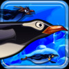 Plump Penguin Pop - Puzzle Game