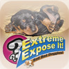 Extreme Expose It! Bad Bad Doggie!