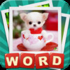 What's the Word? The Fun Pics Pop Quiz Puzzle Game!