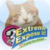 Extreme Expose It!  Totally Cute Kitties Edition!