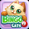 Bingo Cats