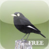 Birdwatcher's Quiz FREE
